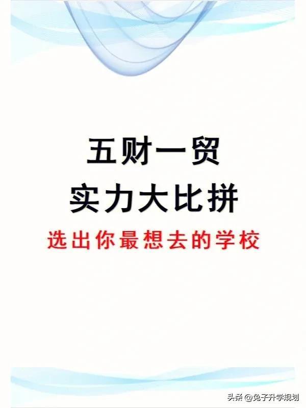 黄浦区审计局未来发展规划，塑造全新审计蓝图