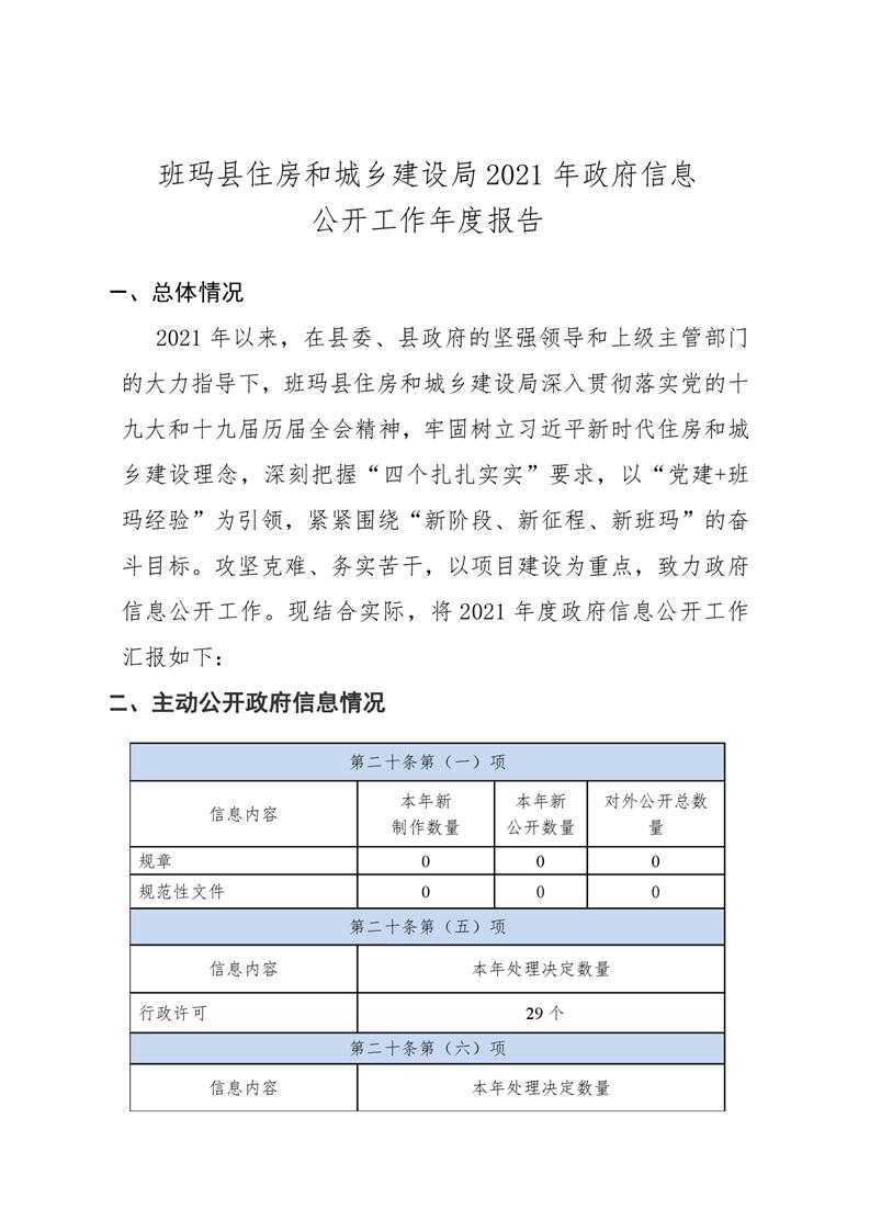 祁连县数据和政务服务局最新发展规划深度探讨