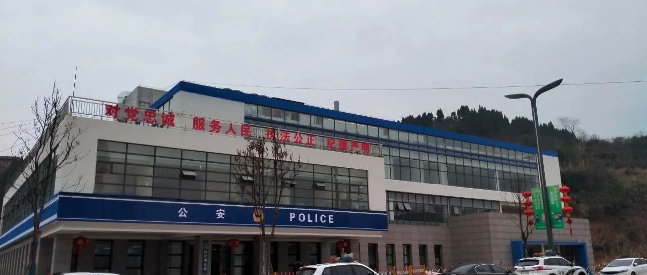 大英县公安局，构建现代化警务体系，提升社会治理效能战略发展规划