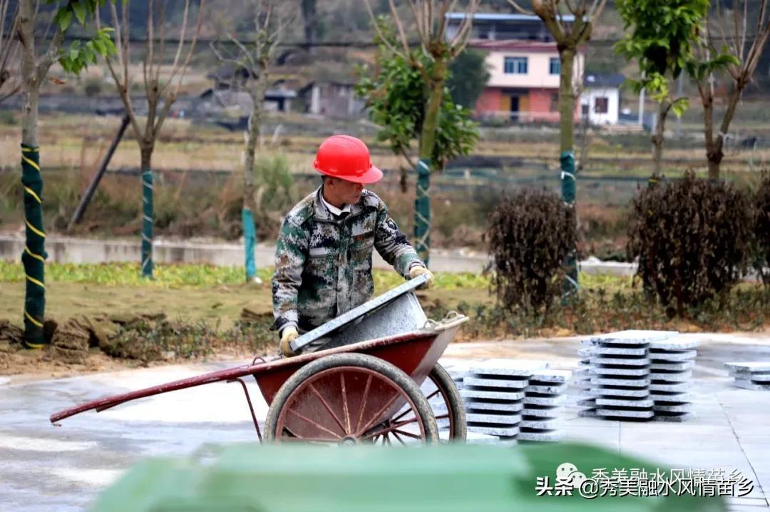 路阳镇最新项目，地方发展的强大引擎领航者