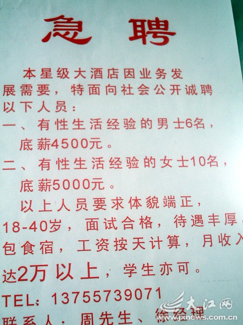 阙家村最新招聘信息总览