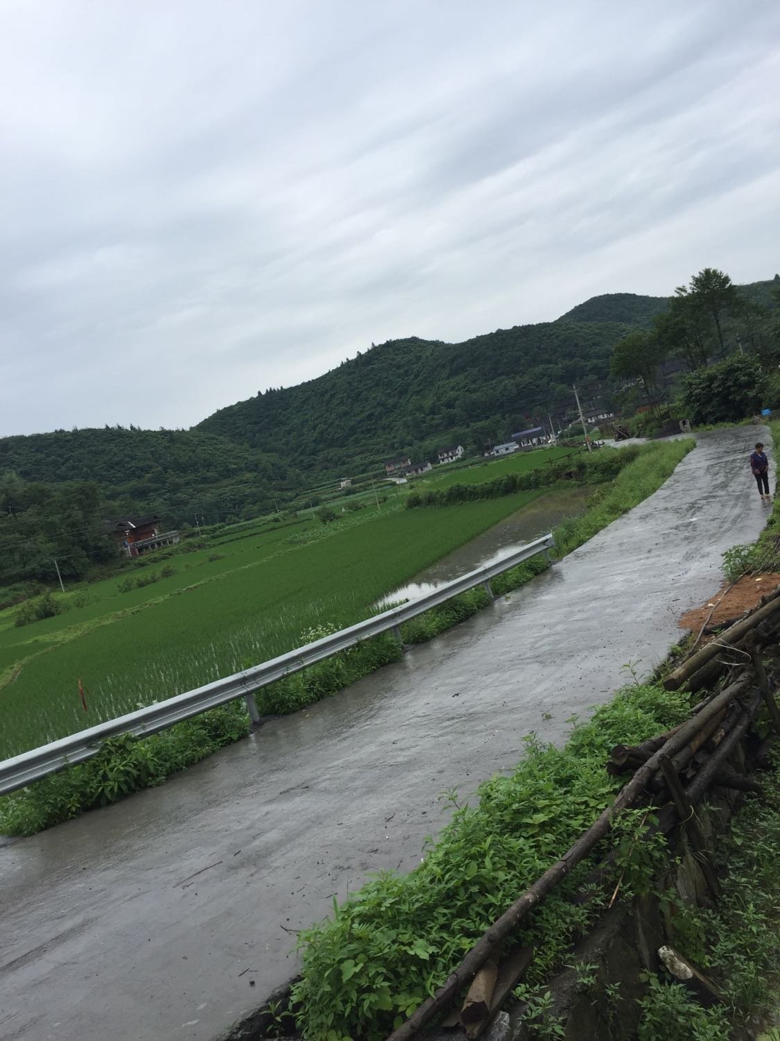 峒河街道天气预报更新通知