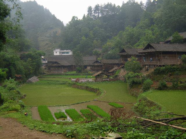 酉阳土家族苗族自治县计生委最新动态报道