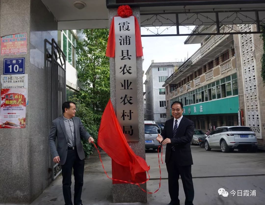 山丹县发展和改革局最新项目概览概览发布