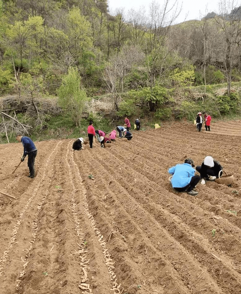 新北区农业农村局新项目推动农业现代化与乡村振兴同步发展